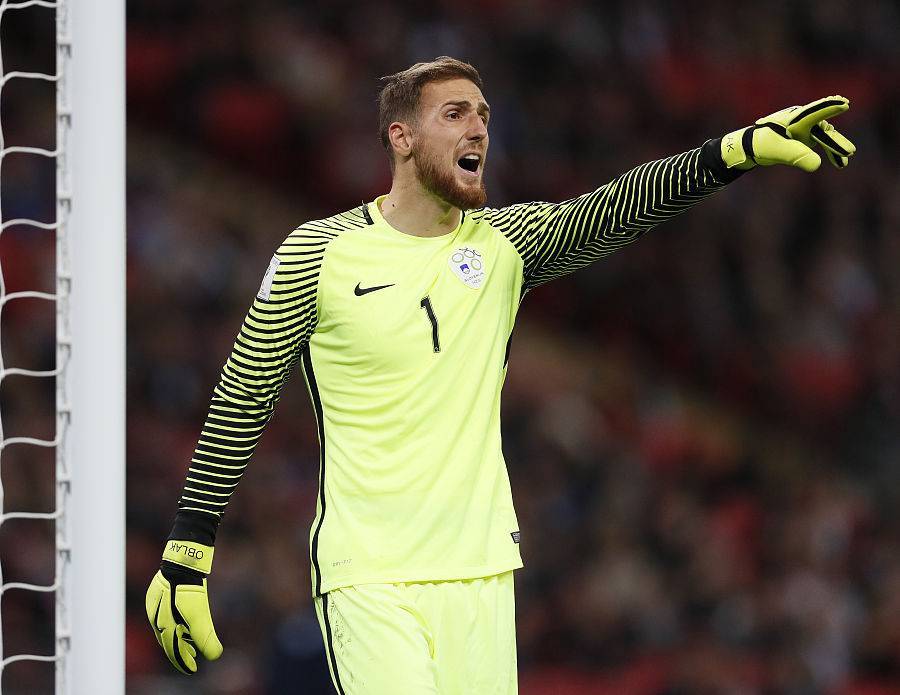 斯洛文尼亚击败斯洛伐克,取得关键胜利的简单介绍 斯洛文尼亚击败斯洛伐克,取得关键胜利的简单介绍