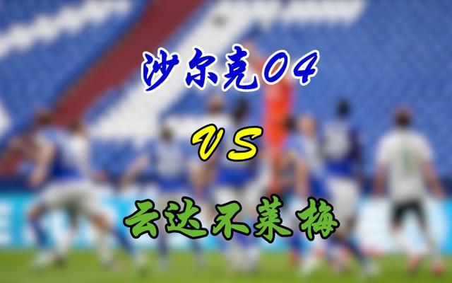 包含沙尔克04告负，保级形势雪上加霜的词条