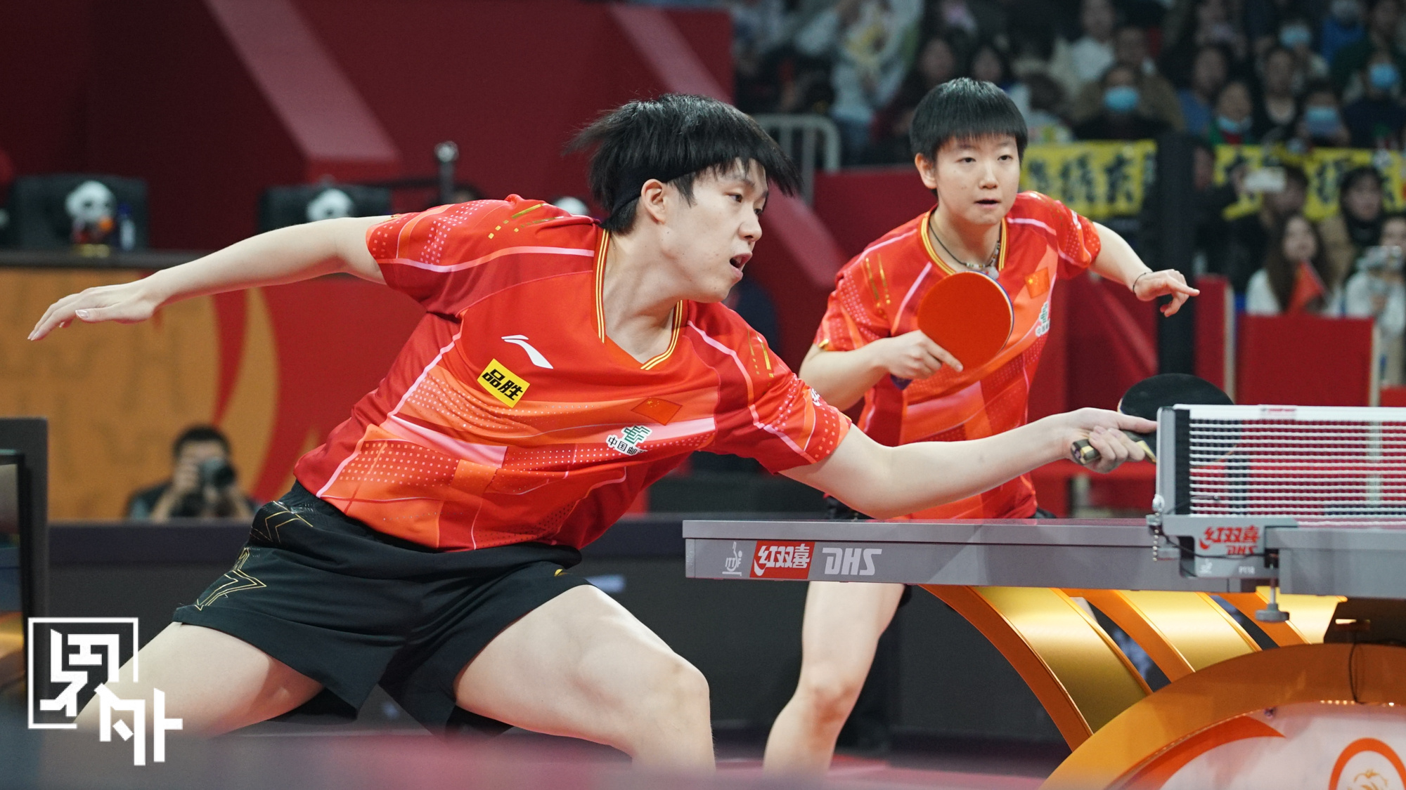 德国乒乓球队轻取日本乒乓球队，马龙高光表现的简单介绍